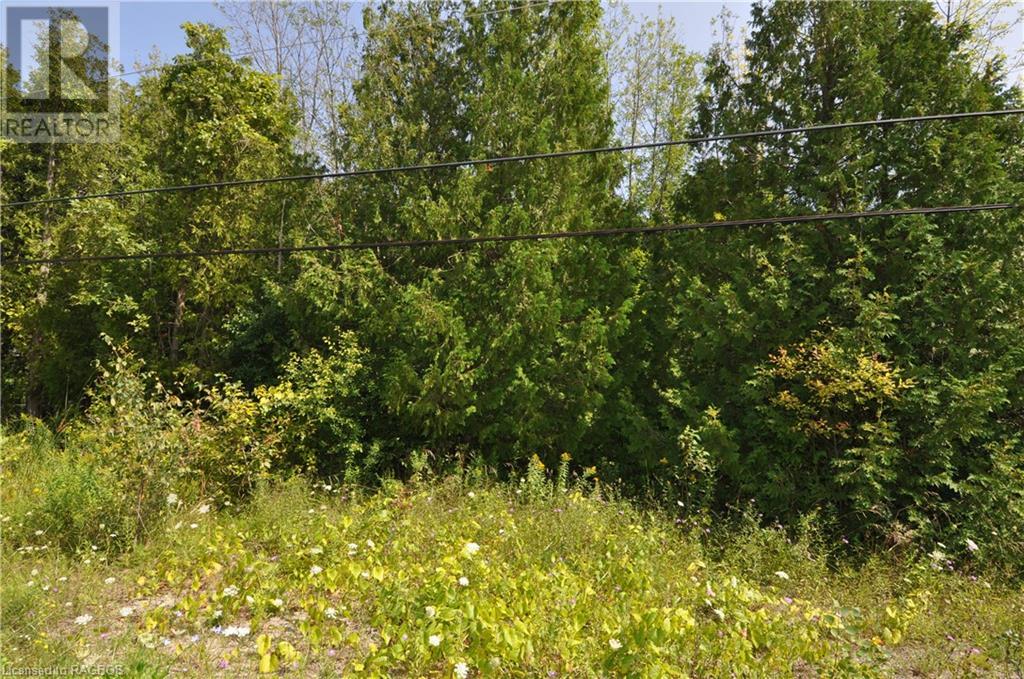 Pt Lt 12 Colpoys Range Road, Georgian Bluffs, Ontario  N0H 2T0 - Photo 2 - 40635705