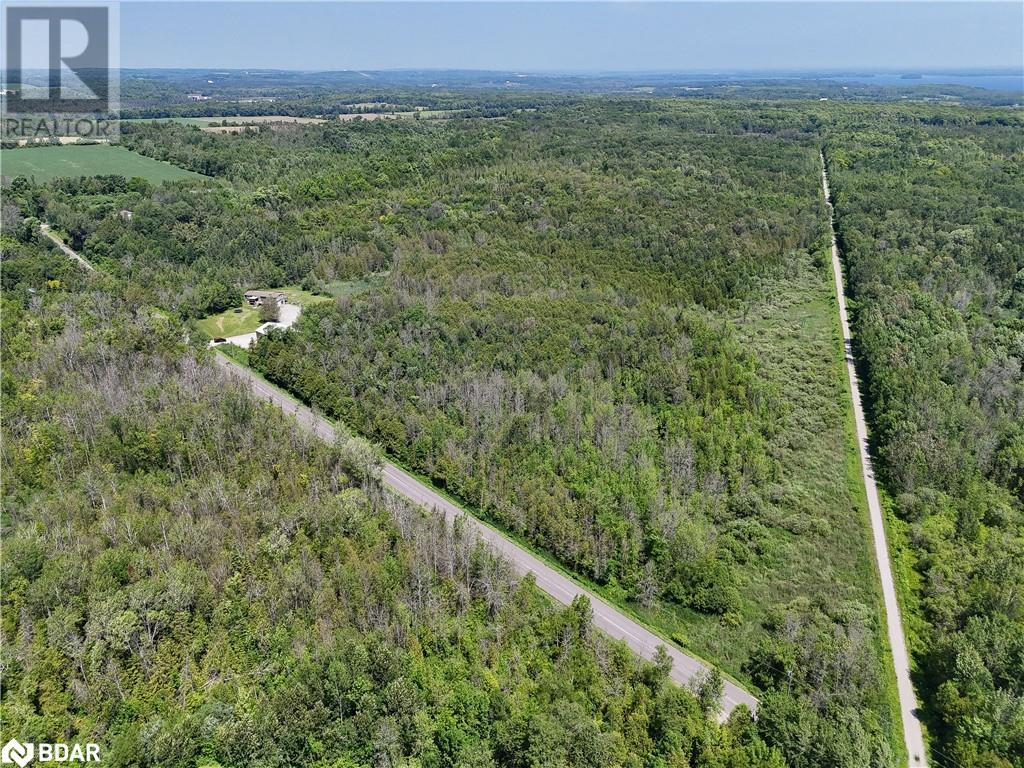 447 13 Line, Oro-Medonte, Ontario  L0L 1T0 - Photo 36 - 40640536