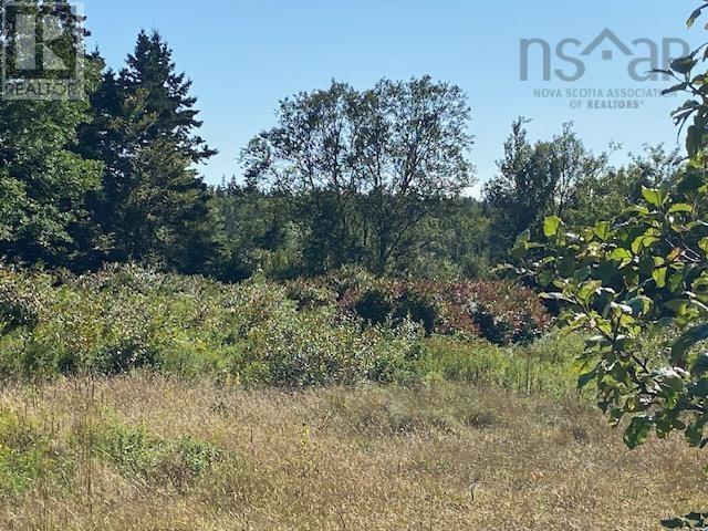 Lot 1 Old Highway 329, Bayswater, Nova Scotia  B0J 1T0 - Photo 5 - 202421170