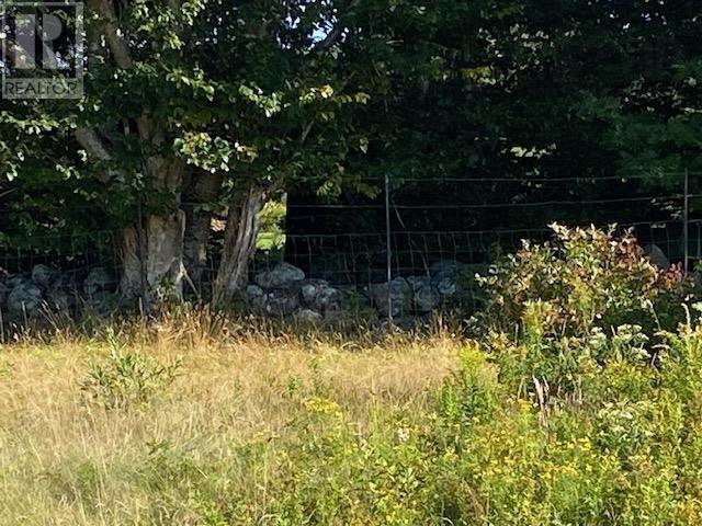 Lot 1 Old Highway 329, Bayswater, Nova Scotia  B0J 1T0 - Photo 6 - 202421170