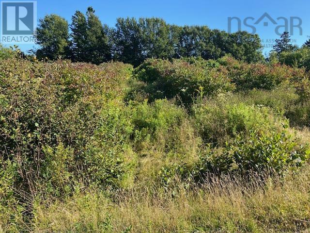Lot 1 Old Highway 329, Bayswater, Nova Scotia  B0J 1T0 - Photo 7 - 202421170