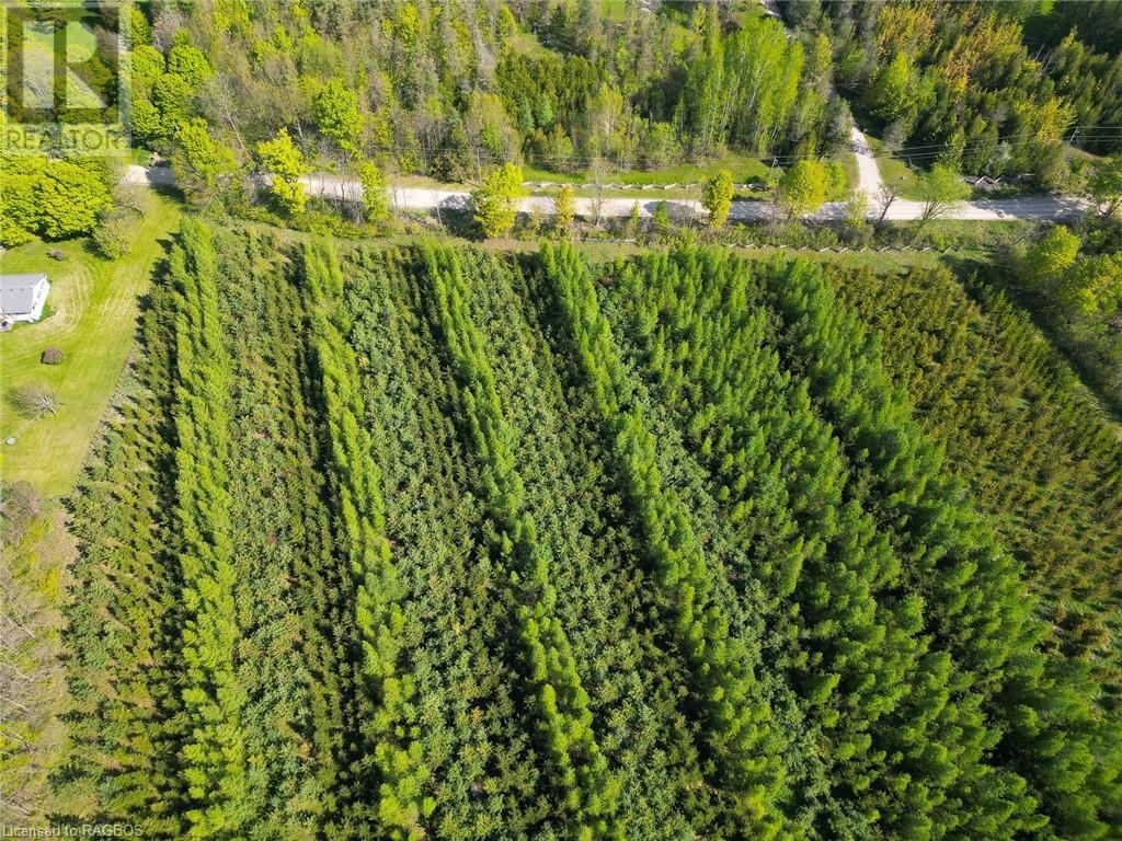 Pt Lt 13 Sideroad 10, Chatsworth, Ontario  N0H 1G0 - Photo 2 - 40638973