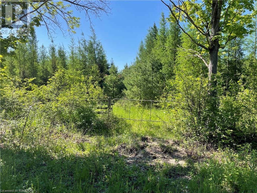 Pt Lt 13 Sideroad 10, Chatsworth, Ontario  N0H 1G0 - Photo 3 - 40638973