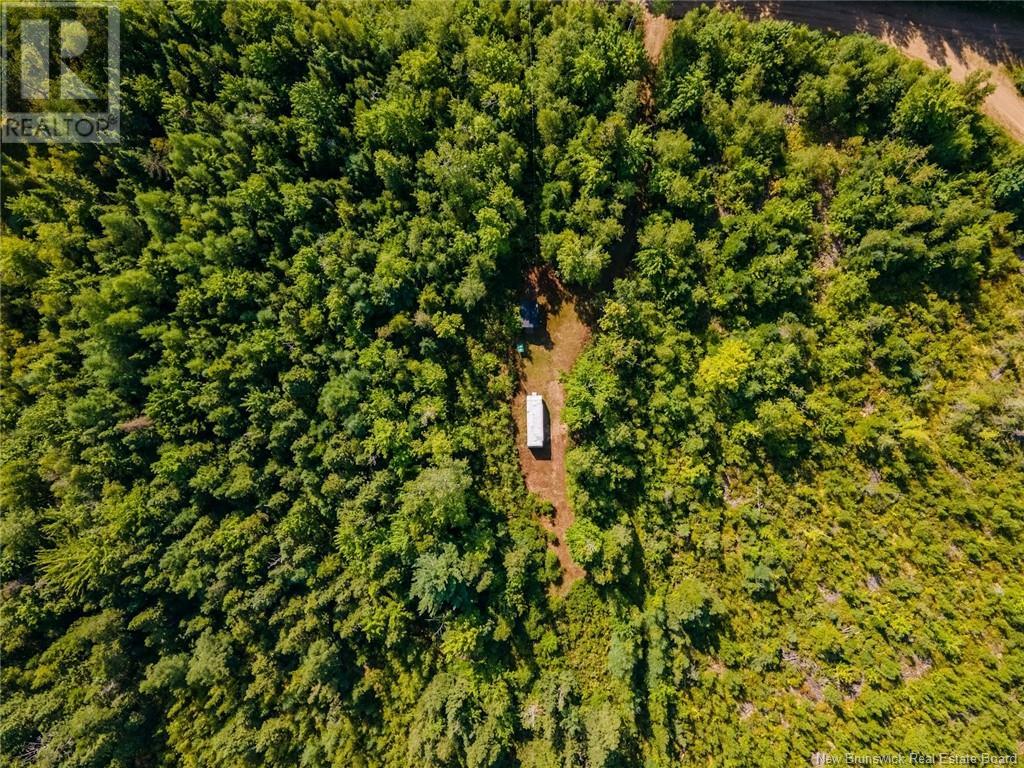 1620 Saint-Sosime Road, Adamsville, New Brunswick  E4T 2G9 - Photo 15 - NB104974