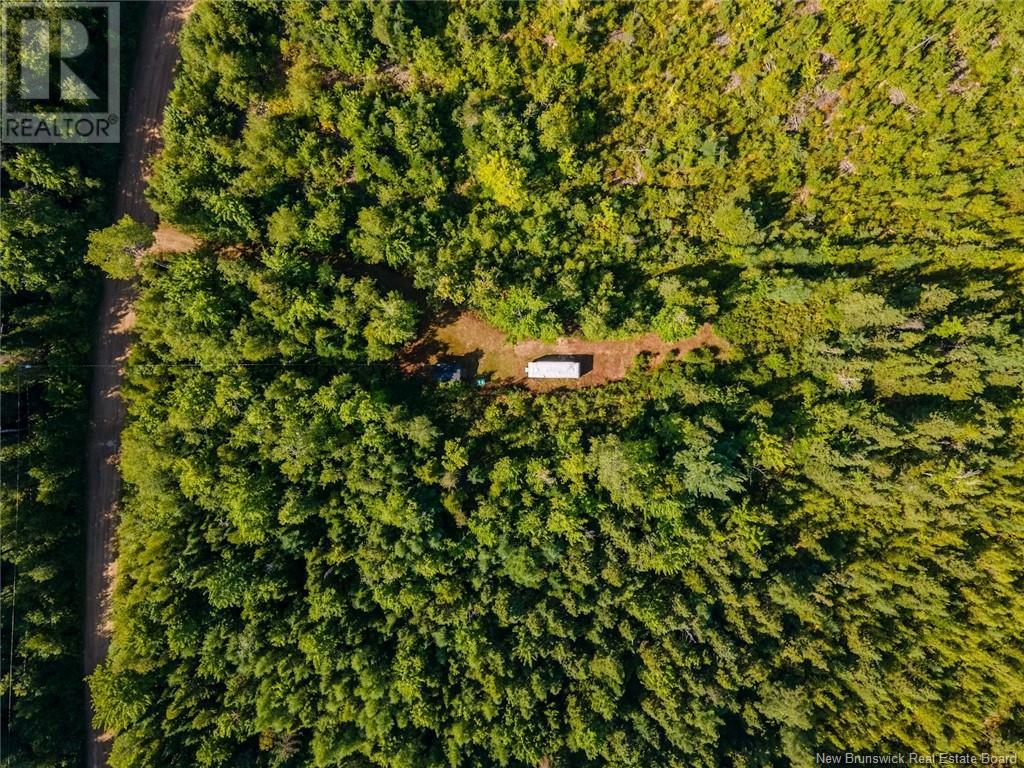 1620 Saint-Sosime Road, Adamsville, New Brunswick  E4T 2G9 - Photo 16 - NB104974