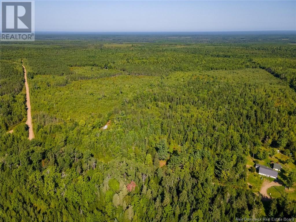 1620 Saint-Sosime Road, Adamsville, New Brunswick  E4T 2G9 - Photo 18 - NB104974