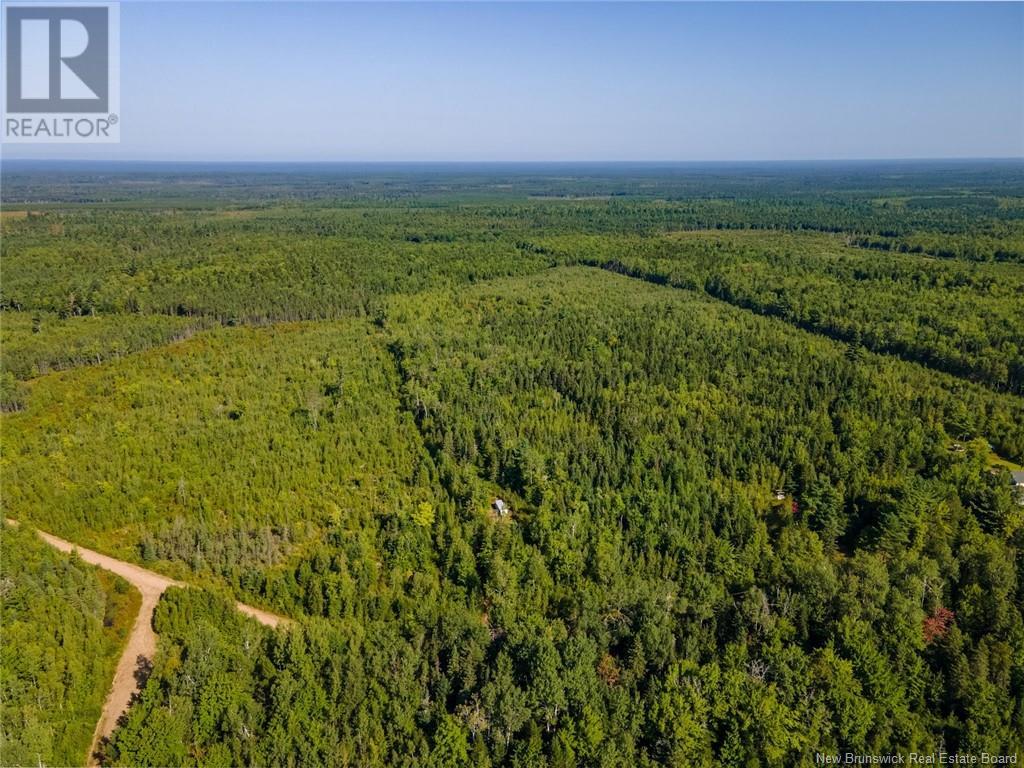 1620 Saint-Sosime Road, Adamsville, New Brunswick  E4T 2G9 - Photo 21 - NB104974