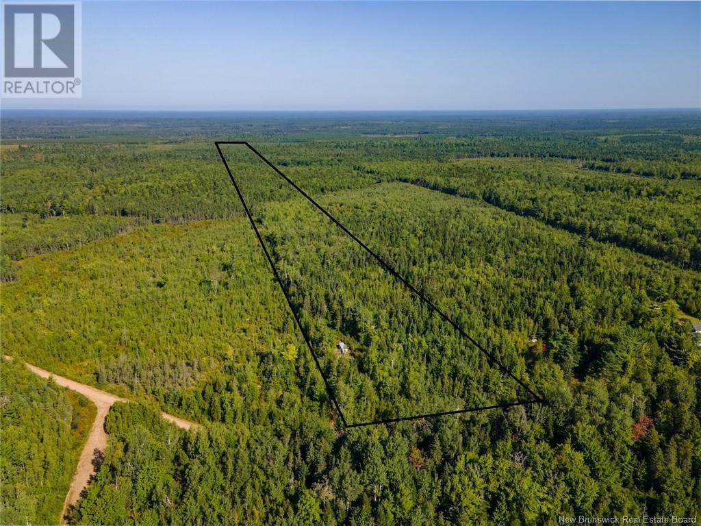 1620 Saint-Sosime Road, Adamsville, New Brunswick  E4T 2G9 - Photo 22 - NB104974