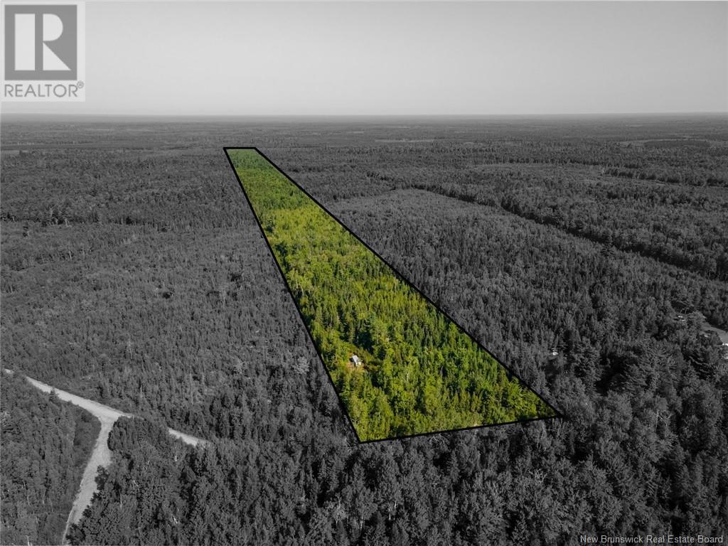 1620 Saint-Sosime Road, Adamsville, New Brunswick  E4T 2G9 - Photo 23 - NB104974