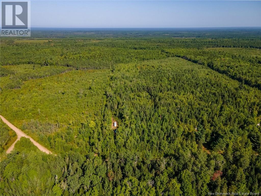 1620 Saint-Sosime Road, Adamsville, New Brunswick  E4T 2G9 - Photo 24 - NB104974