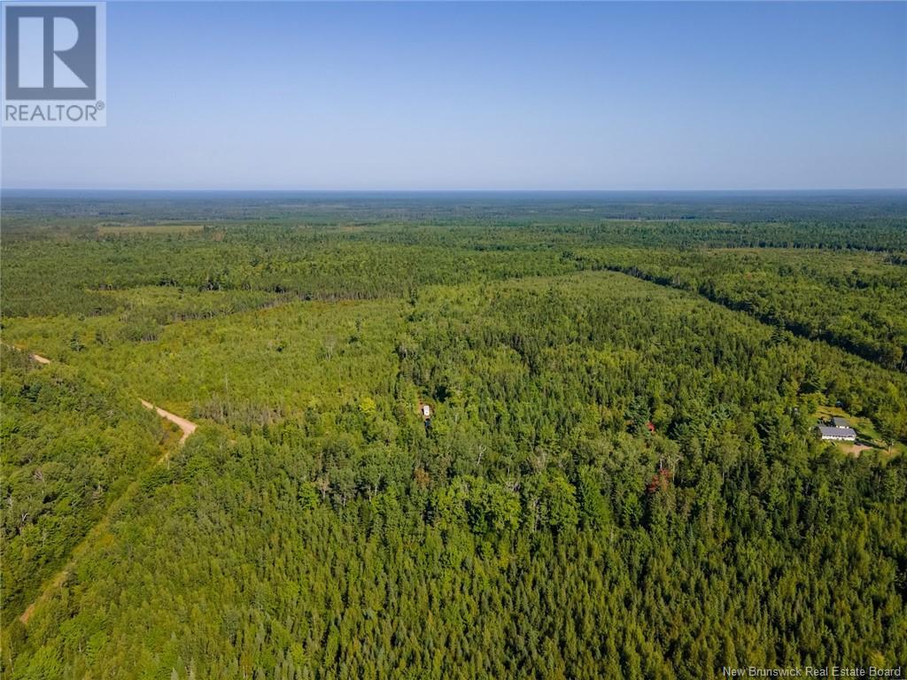 1620 Saint-Sosime Road, Adamsville, New Brunswick  E4T 2G9 - Photo 27 - NB104974