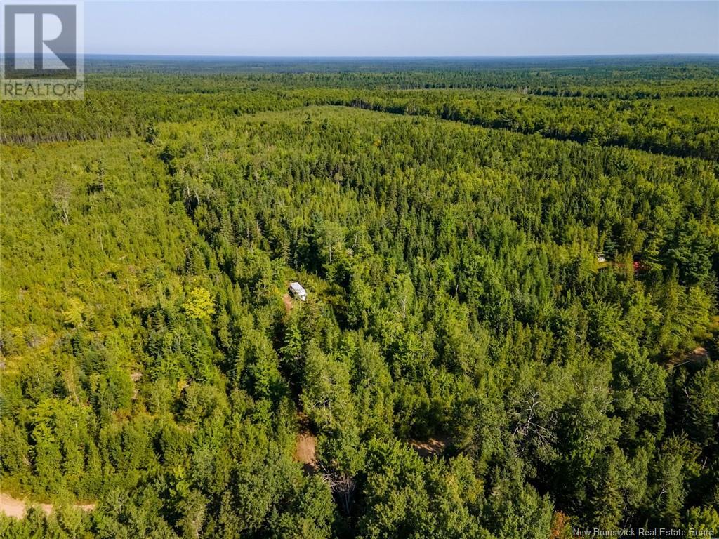 1620 Saint-Sosime Road, Adamsville, New Brunswick  E4T 2G9 - Photo 28 - NB104974