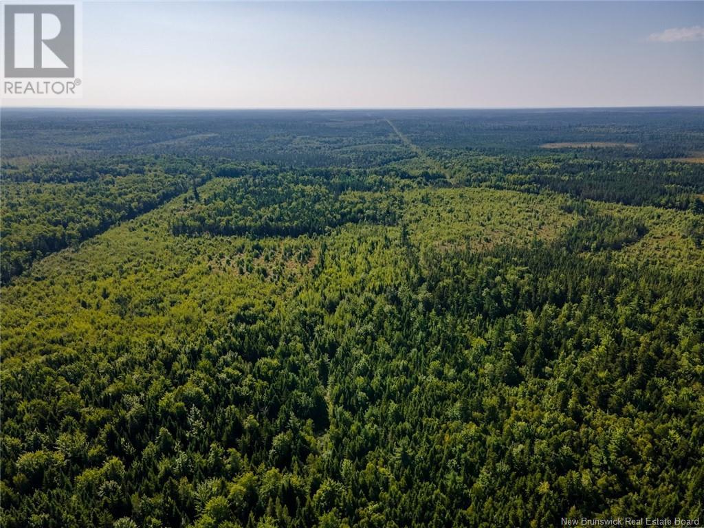 1620 Saint-Sosime Road, Adamsville, New Brunswick  E4T 2G9 - Photo 34 - NB104974