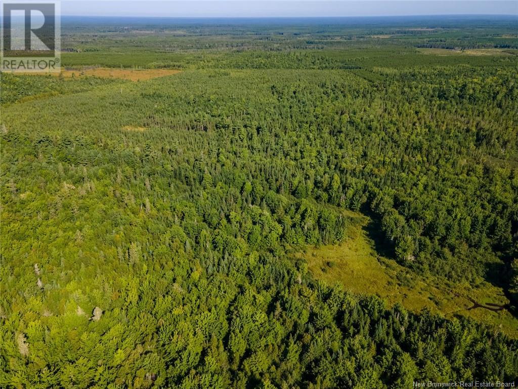 1620 Saint-Sosime Road, Adamsville, New Brunswick  E4T 2G9 - Photo 35 - NB104974