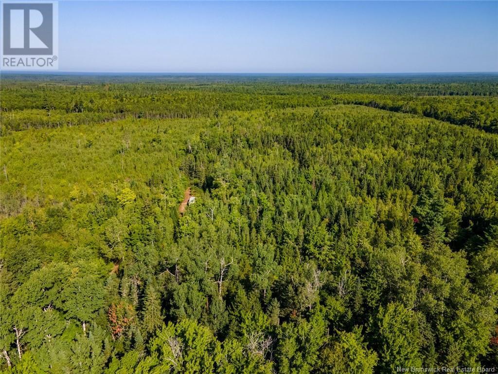 1620 Saint-Sosime Road, Adamsville, New Brunswick  E4T 2G9 - Photo 36 - NB104974