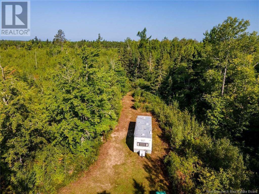 1620 Saint-Sosime Road, Adamsville, New Brunswick  E4T 2G9 - Photo 9 - NB104974