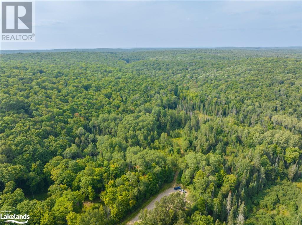 Lot 6-10 Moon Road, Haliburton, Ontario  K0M 1S0 - Photo 12 - 40640042