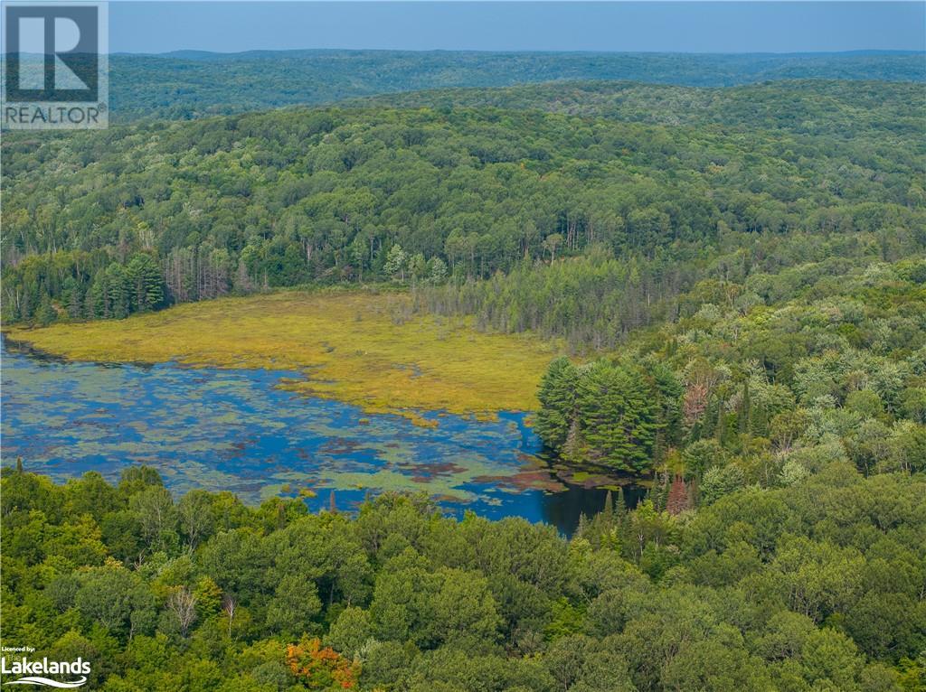 Lot 6-10 Moon Road, Haliburton, Ontario  K0M 1S0 - Photo 14 - 40640042