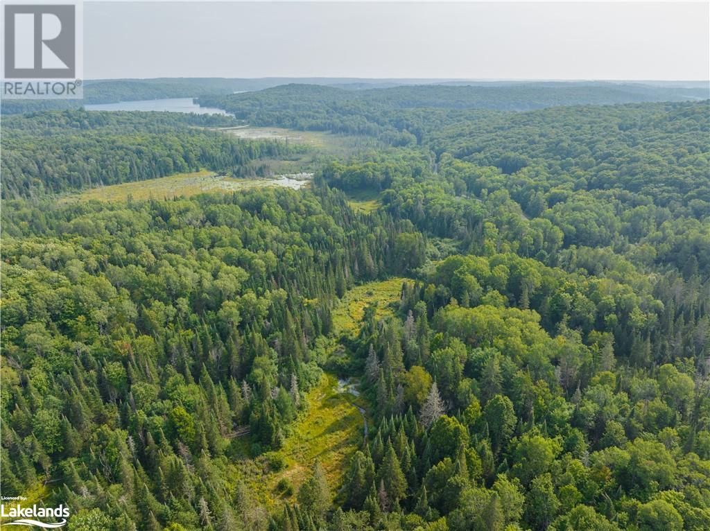 Lot 6-10 Moon Road, Haliburton, Ontario  K0M 1S0 - Photo 16 - 40640042