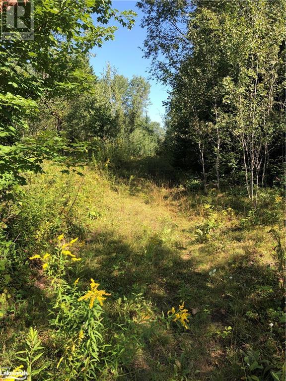 Lot 6-10 Moon Road, Haliburton, Ontario  K0M 1S0 - Photo 3 - 40640042