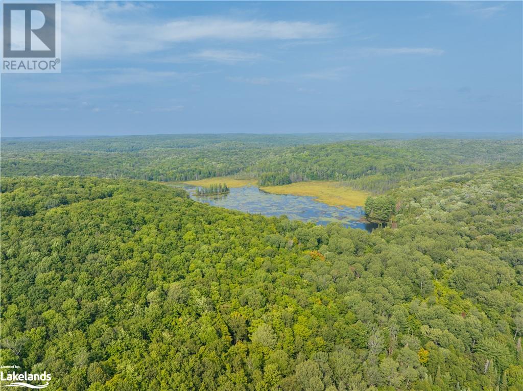 Lot 6-10 Moon Road, Haliburton, Ontario  K0M 1S0 - Photo 15 - 40640042
