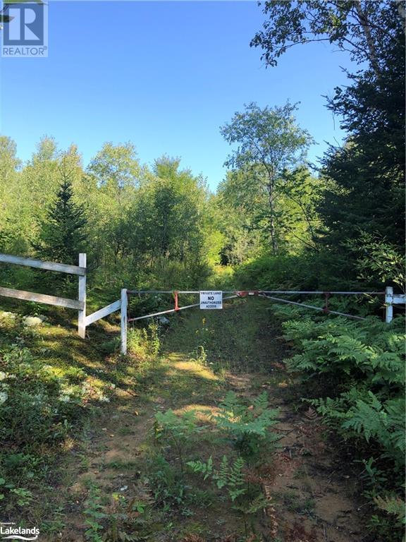 Lot 6-10 Moon Road, Haliburton, Ontario  K0M 1S0 - Photo 2 - 40640042