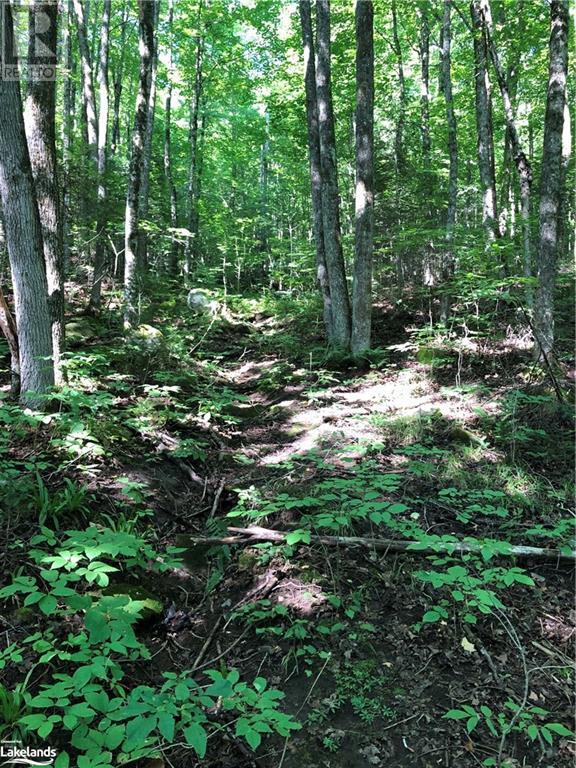 Lot 6-10 Moon Road, Haliburton, Ontario  K0M 1S0 - Photo 9 - 40640042