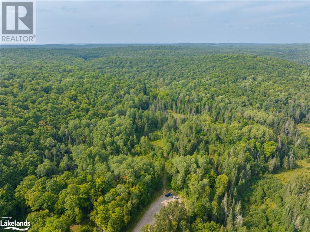 Lot 6-10 Moon Road, Haliburton, Ontario  K0M 1S0 - Photo 20 - 40640042