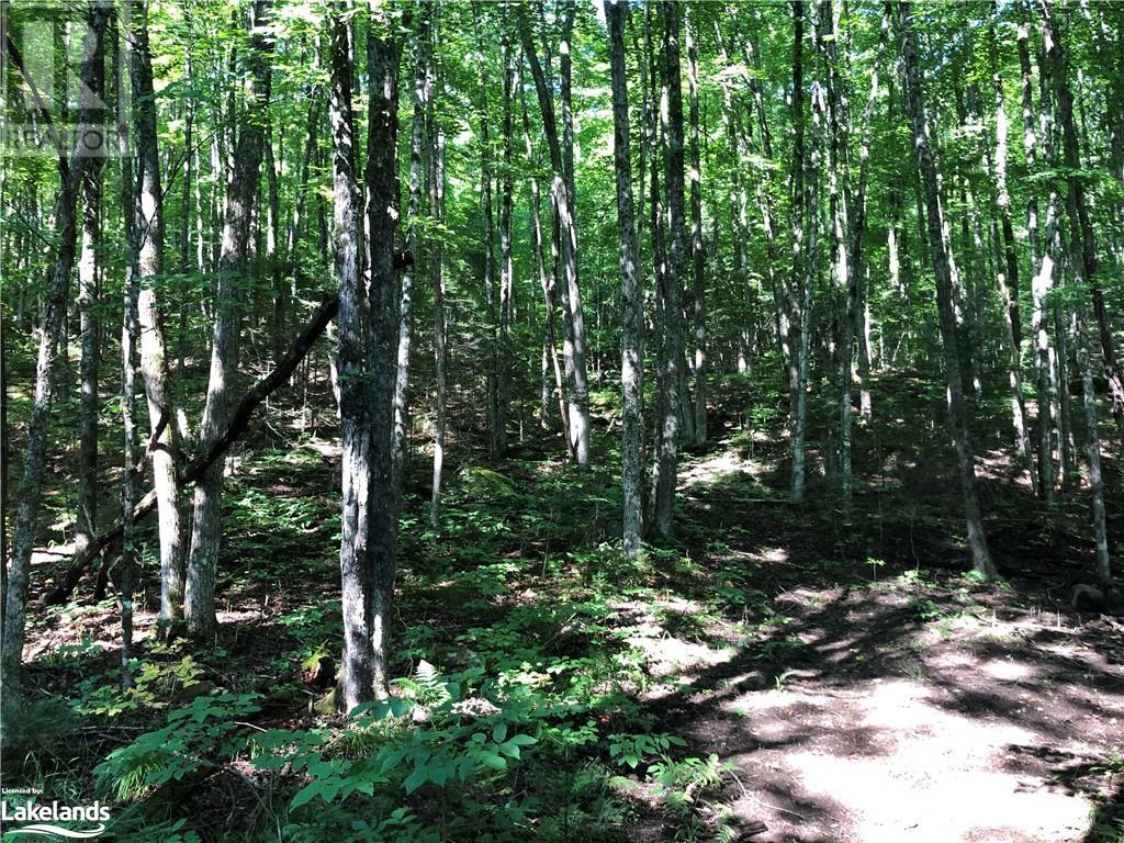 Lot 6-10 Moon Road, Haliburton, Ontario  K0M 1S0 - Photo 7 - 40640042