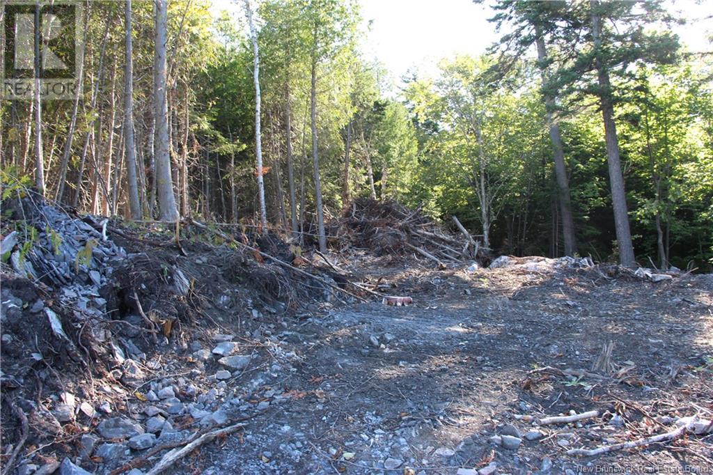 Property at 00 Shoreline Drive image 2