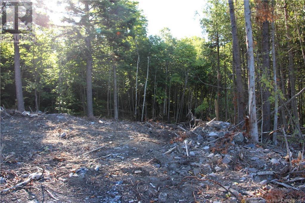 Property at 00 Shoreline Drive image 5