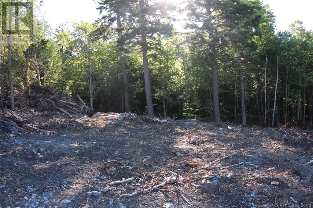 Property at 00 Shoreline Drive image 4