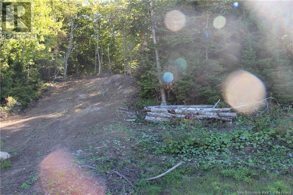 Property at 00 Shoreline Drive image 4