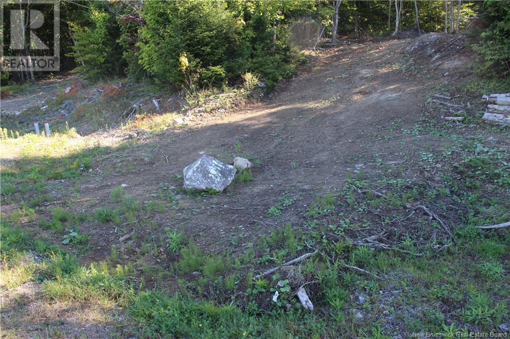 Property at 00 Shoreline Drive image 5