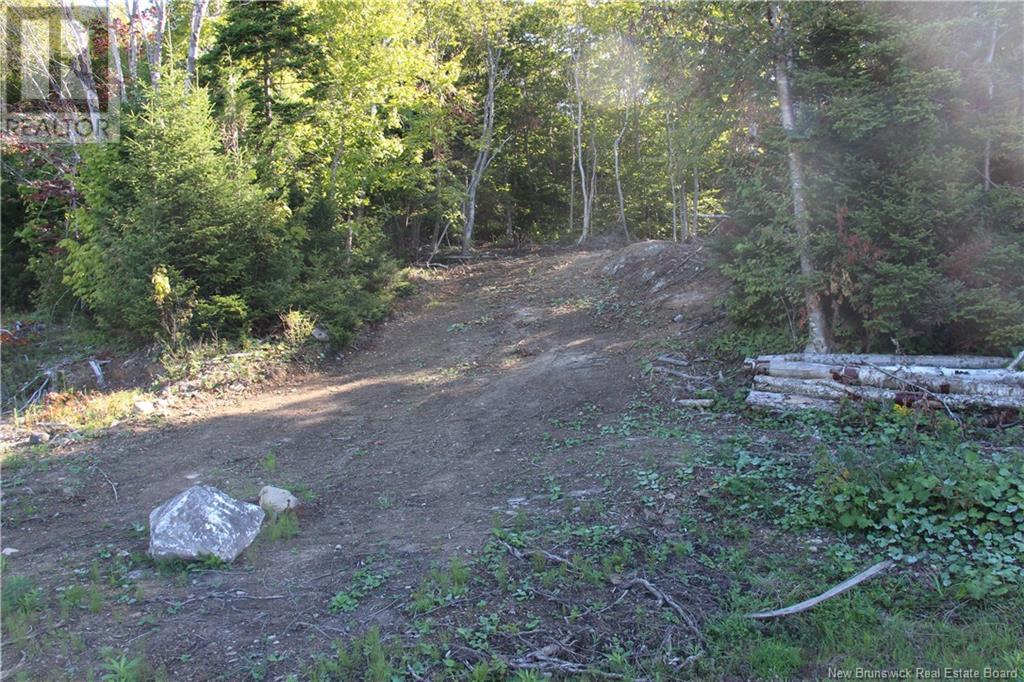 Property at 00 Shoreline Drive image 2
