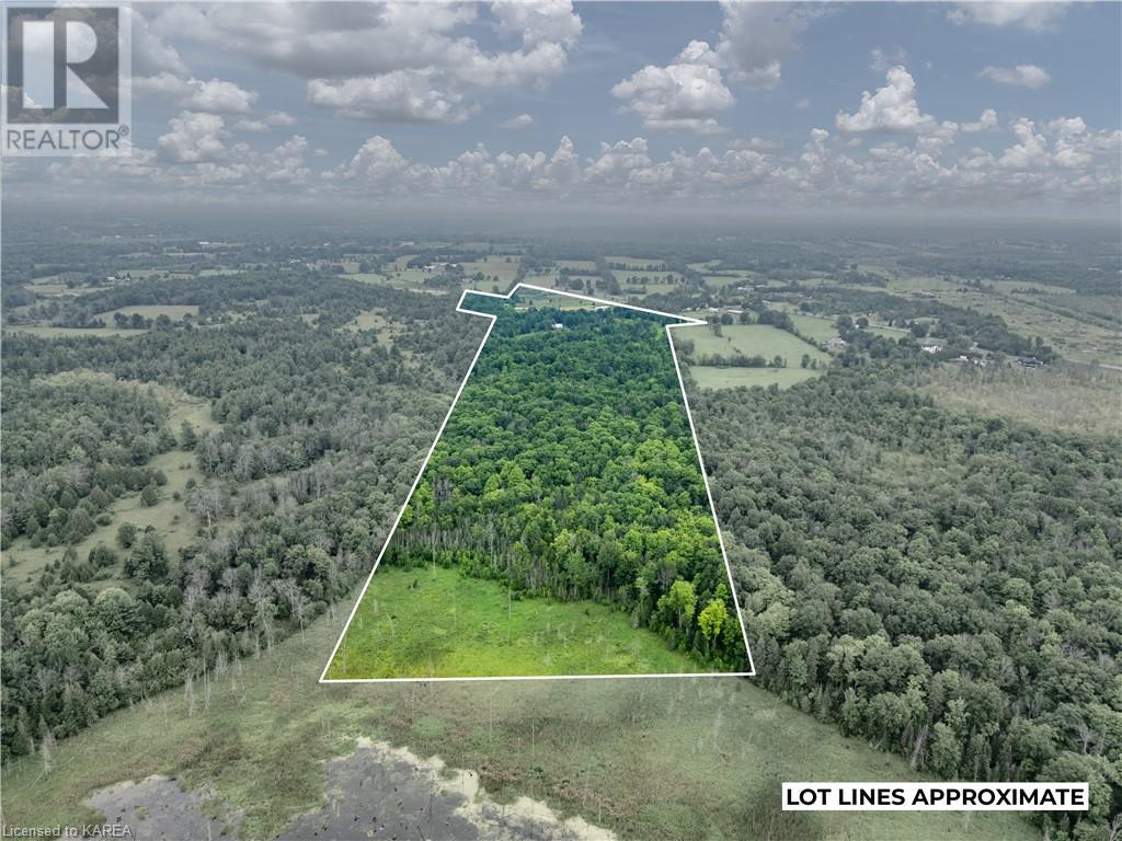 3439 Highway 38, Frontenac, Ontario  K0H 1M0 - Photo 3 - 40638204