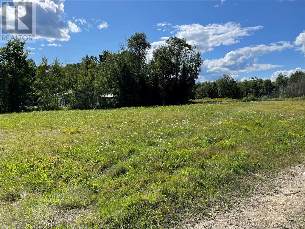 Lot Centreville Road, Florenceville-Bristol, New Brunswick  E7L 3K5 - Photo 14 - NB105000