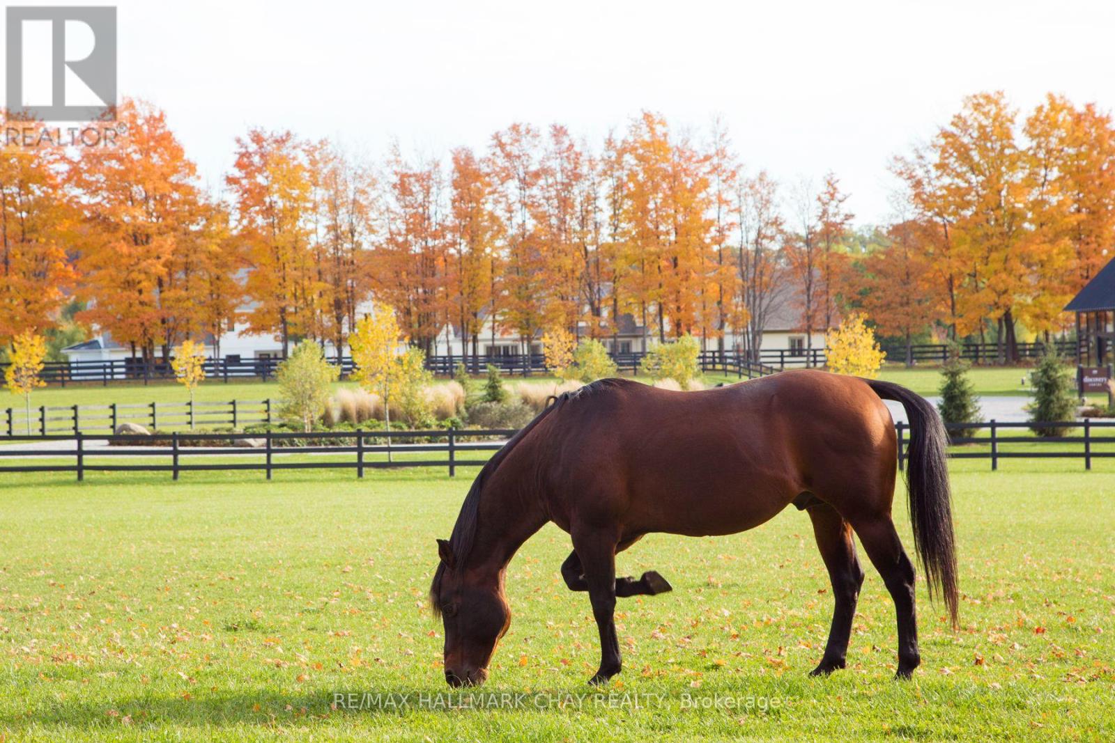 Lot 39 Friesian Court, Oro-Medonte, Ontario  L0K 1E0 - Photo 11 - S9296906