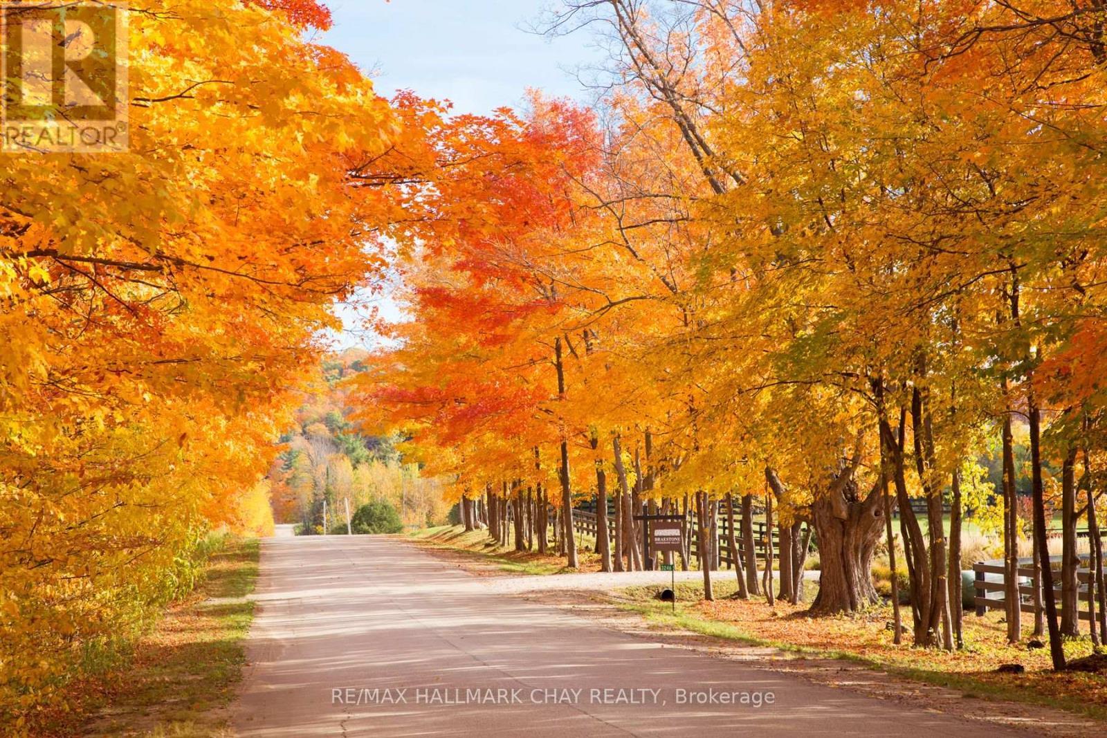 Lot 39 Friesian Court, Oro-Medonte, Ontario  L0K 1E0 - Photo 19 - S9296906