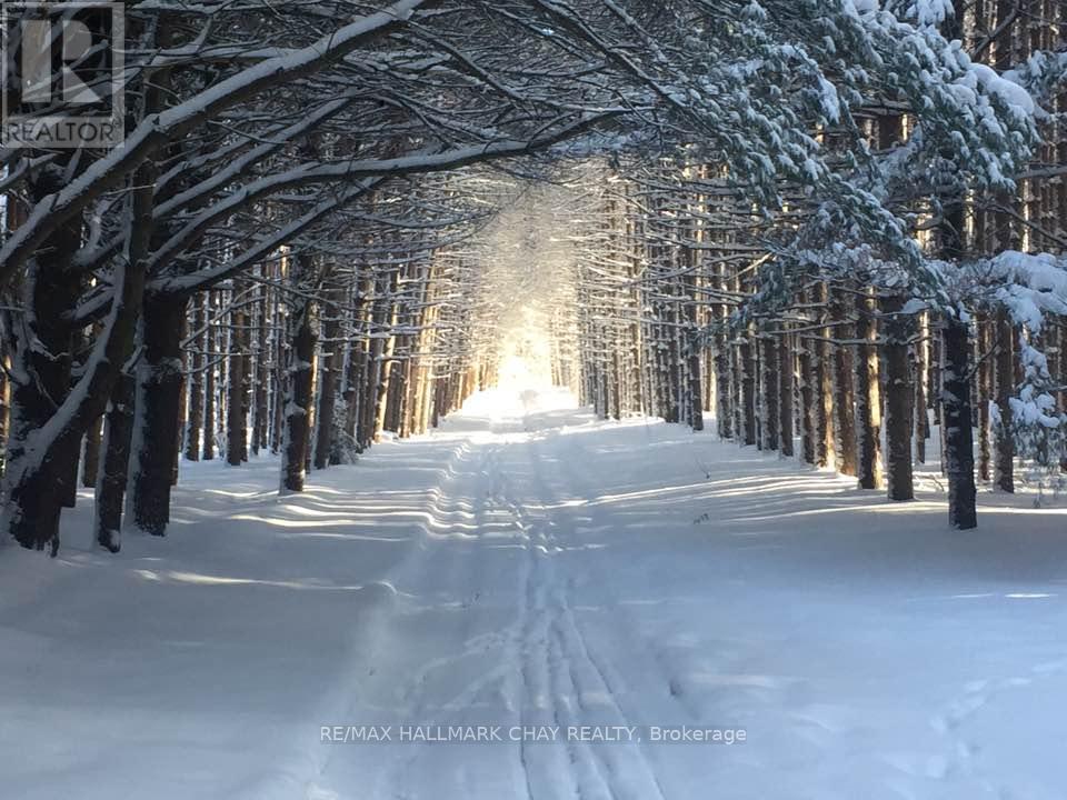 Lot 38 Friesian Court, Oro-Medonte, Ontario  L0K 1E0 - Photo 16 - S9296912