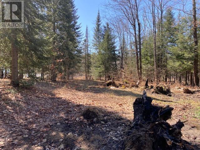 47c River Dr, Blind River, Ontario  P0R 1B0 - Photo 2 - SM242298