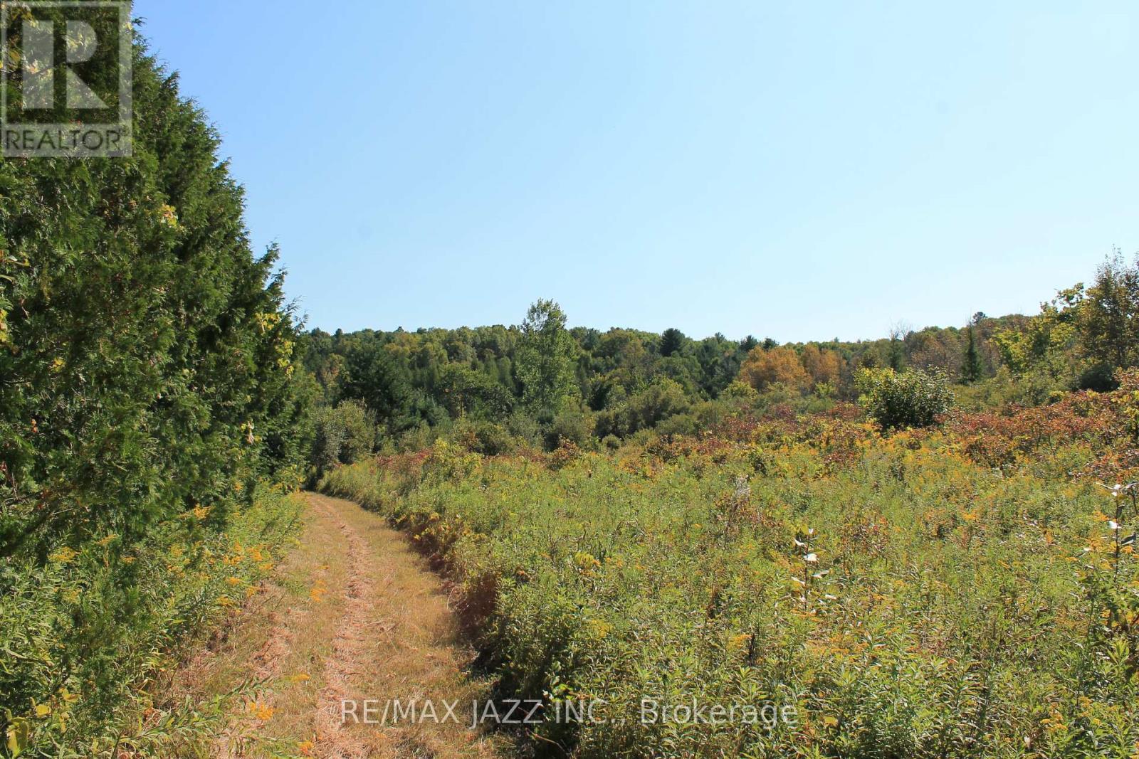 0 Mitchell Road, Cramahe, Ontario K0K 1S0 - Photo 14 - X9297380