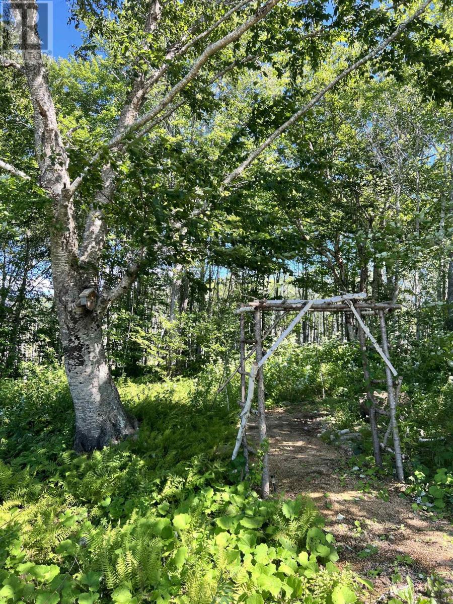 152 Mersey Road, Inlet Baddeck, Nova Scotia  B0E 1B0 - Photo 35 - 202421266