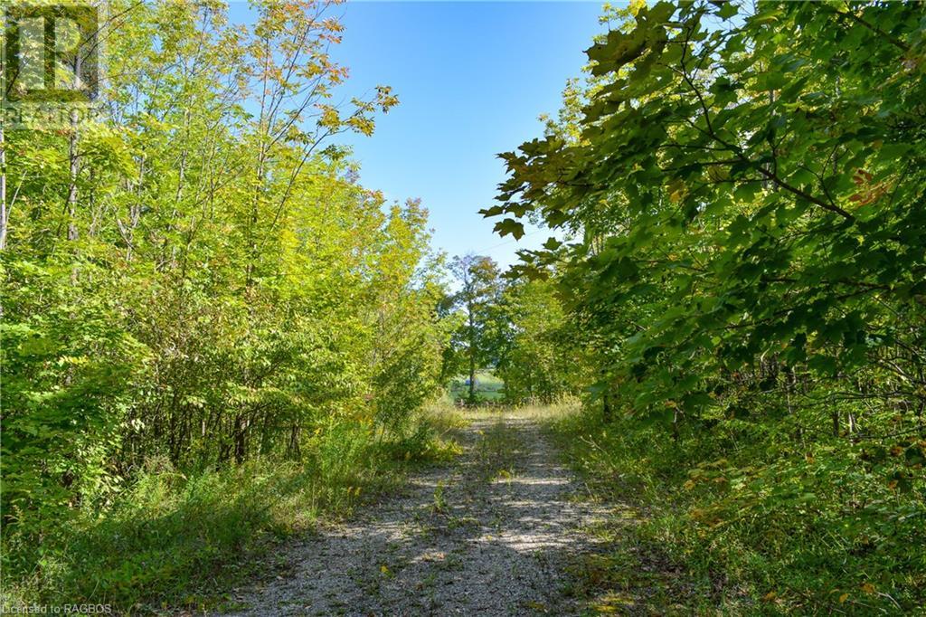 396436 2 Concession, Chatsworth (Twp), Ontario  N0G 1R0 - Photo 12 - 40641407