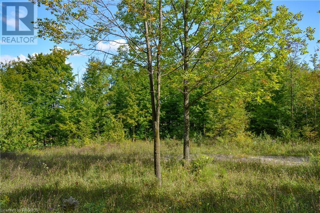 396436 2 Concession, Chatsworth (Twp), Ontario  N0G 1R0 - Photo 15 - 40641407