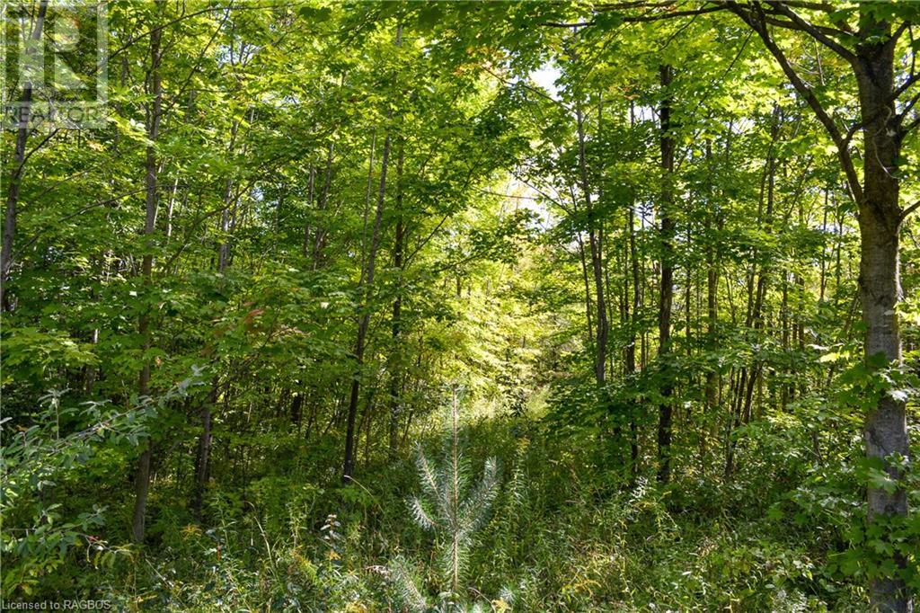 396436 2 Concession, Chatsworth (Twp), Ontario  N0G 1R0 - Photo 18 - 40641407