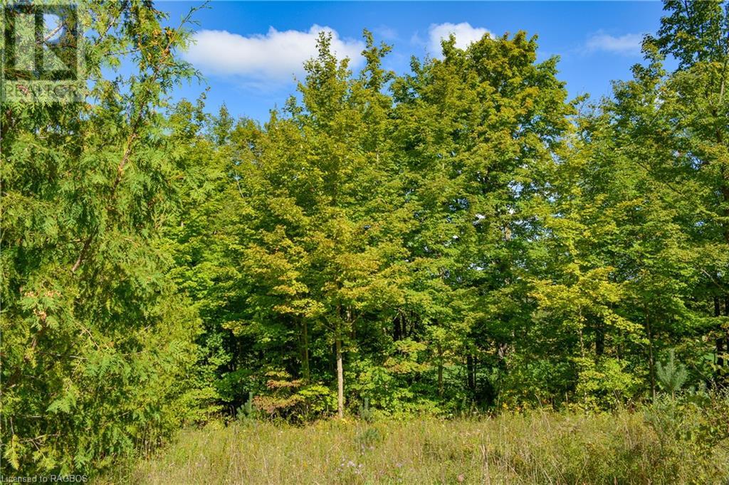 396436 2 Concession, Chatsworth (Twp), Ontario  N0G 1R0 - Photo 3 - 40641407