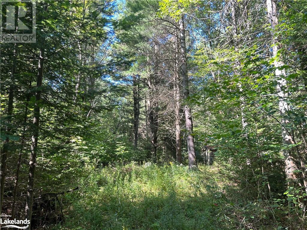 0 Gates Road, Dysart, Ontario  K0M 1S0 - Photo 1 - 40640946