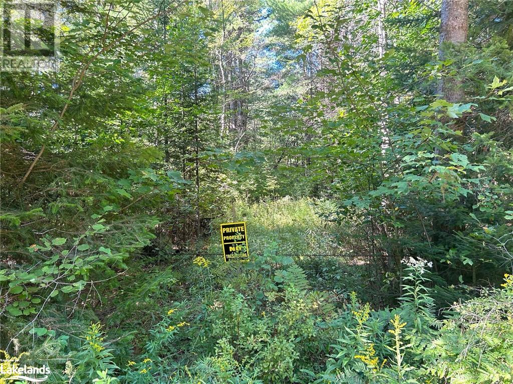 0 Gates Road, Dysart, Ontario  K0M 1S0 - Photo 3 - 40640946