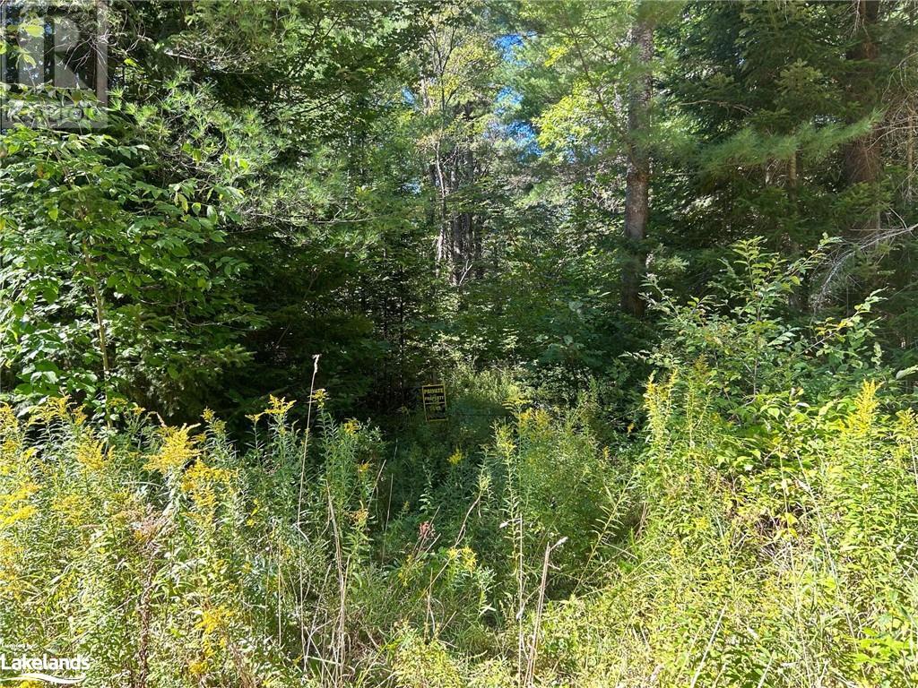 0 Gates Road, Dysart, Ontario  K0M 1S0 - Photo 7 - 40640946